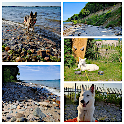 Eyla und Xora auf Fortbildung