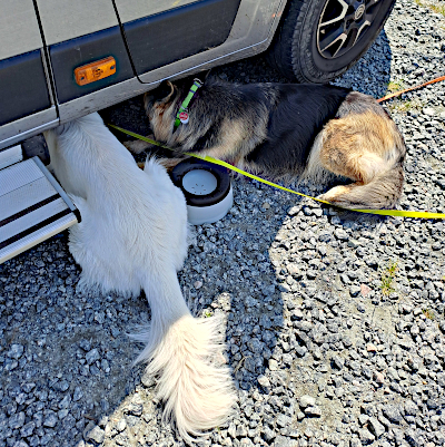 Eyla und Xora inspizieren den Unterfahrschutz